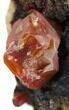 Red Vanadinite Crystals on Matrix - Morocco #38482-2
